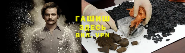 стаф Бородино