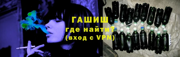 стаф Бородино