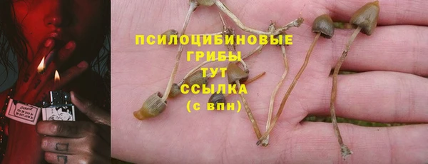 первитин Верея