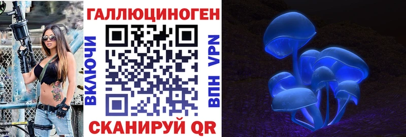 закладка  Гагарин  Псилоцибиновые грибы Psilocybine cubensis 